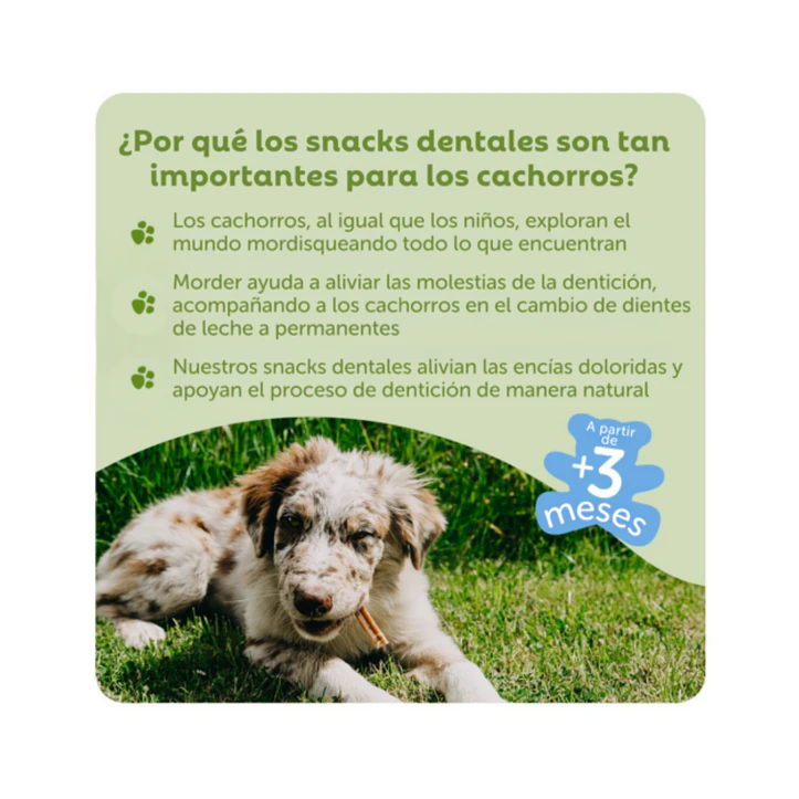 WHIMZEES Puppy XS/S – 28 unidades 4