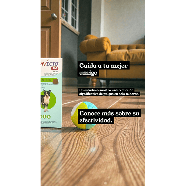 Bravecto 4.5 A 10 Kg 1m Color Naranja