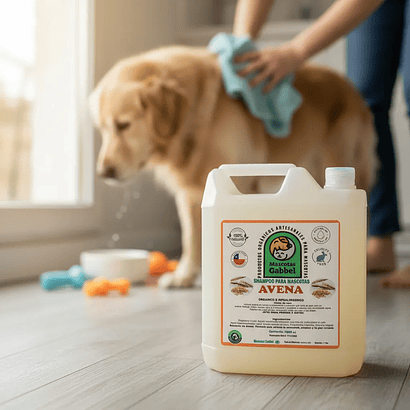 Shampoo de Avena - Hipoalergénico y Orgánico - Formato Bidon 5 Litros 1