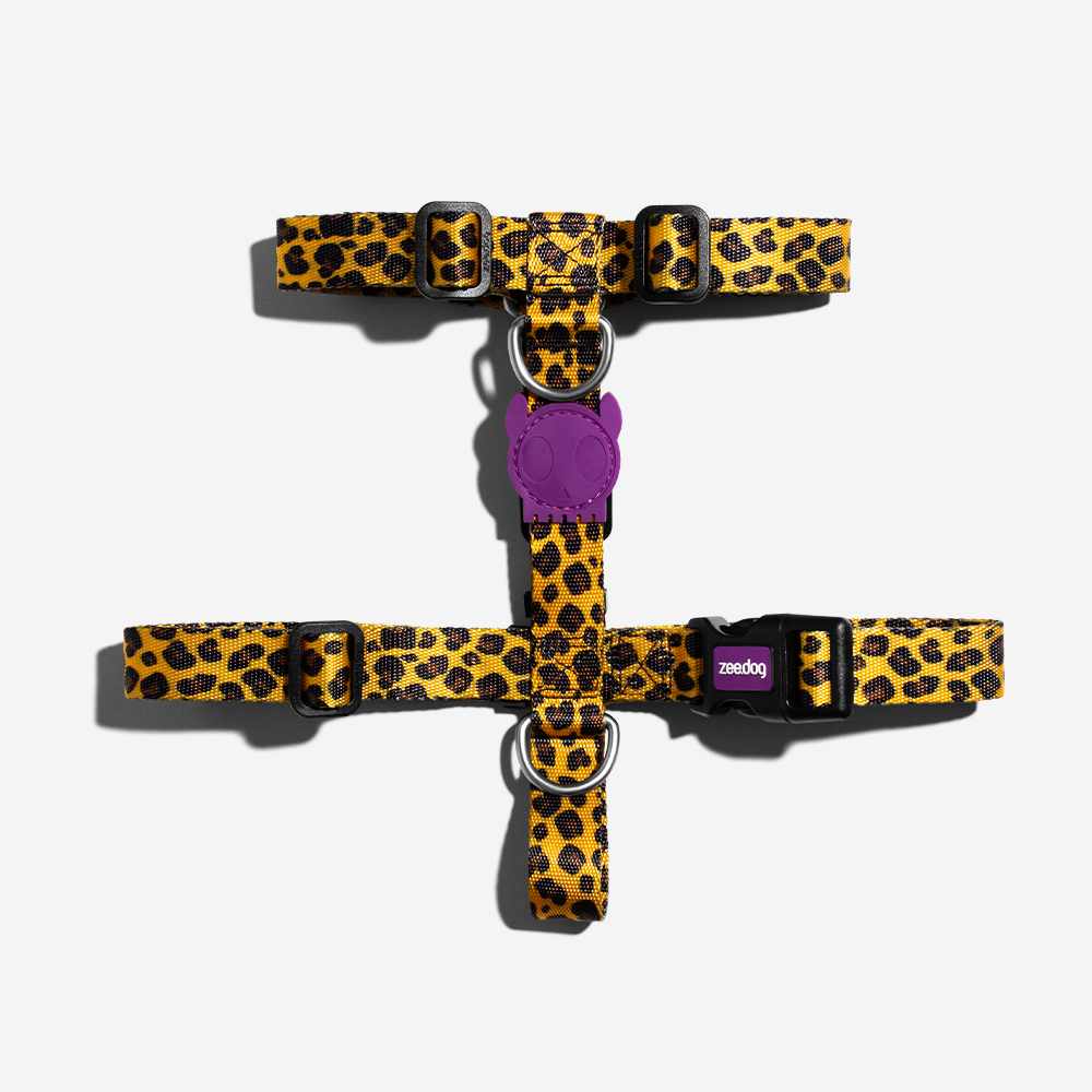 ZEEDOG H-HARNESS HONEY L