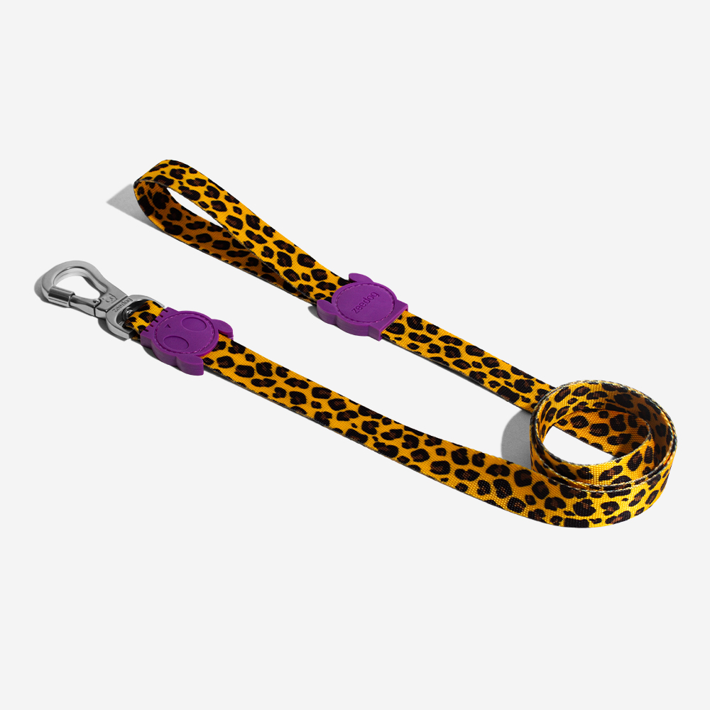 ZEEDOG HONEY CORREA SMALL