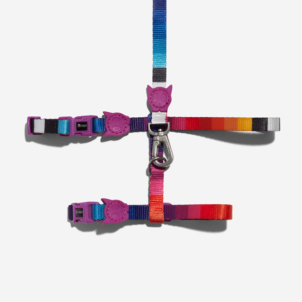 ZEECAT ASTRO HARNESS+LEASH SET