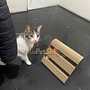 Rascadores Piramide Pequeño Pelota Interactivo Para Gatos 