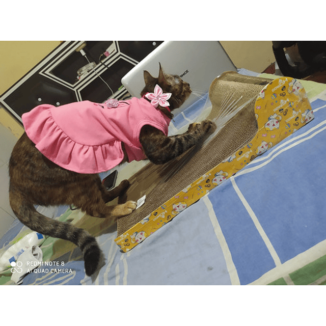 Rascador Con Pelota Interactivo de Gatos