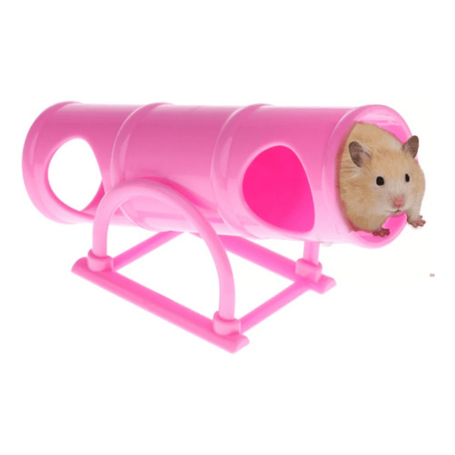 Sube Y Baja Para Hamsters 