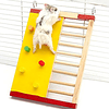 Escalera Obstaculos Para Hamsters 