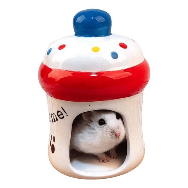 Casa De Ceramica De Hamsters