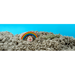 SUSTRATO DE PAPEL PREMIUM DANDIPET 900 GR