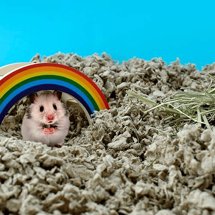 SUSTRATO DE PAPEL PREMIUM DANDIPET 900 GR 1