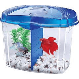 Acuario para Betta Aqueon Bowl, negro, azul 