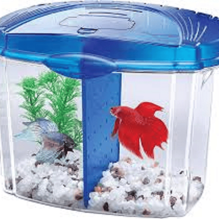 Acuario para Betta Aqueon Bowl, negro, azul  1