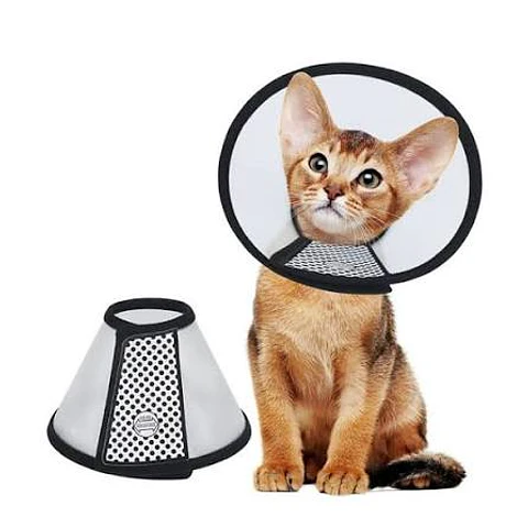 Collar isabelino gato - perro pequeño