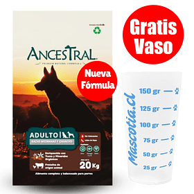 Gratis Vaso + Ancestral Perro Adulto 20 Kg