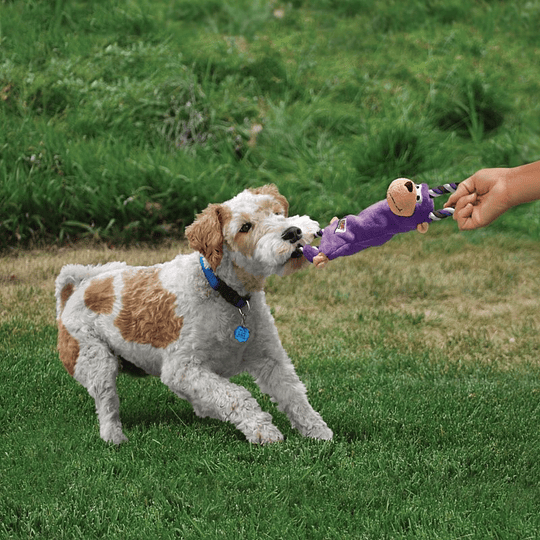 Juguete de perro para tironear Kong Tugger Knots Mono