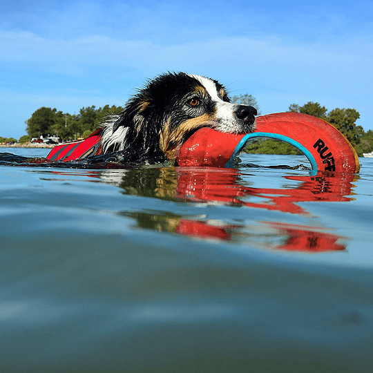 Frisbee para perro Ruffwear Hydro Plane - Resistente y Flotador