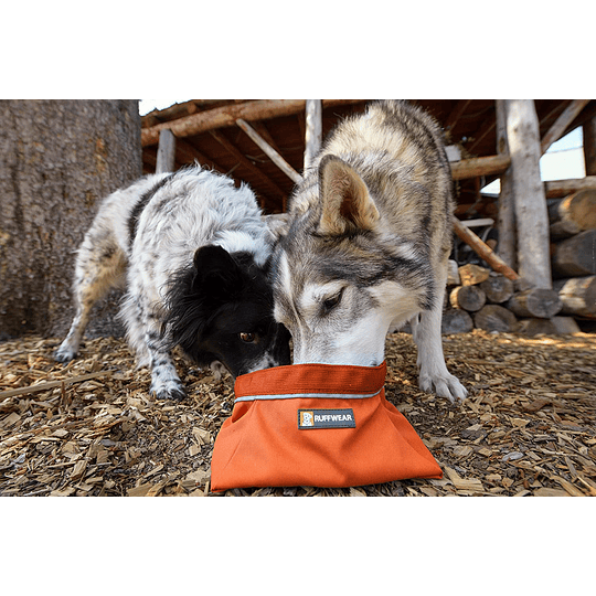 Plato plegable e impermeable Ruffwear Quencher Bowl 