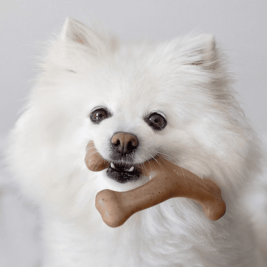 Hueso plástico para perro sabor tocino BENEBONE WISHBONE BACON 