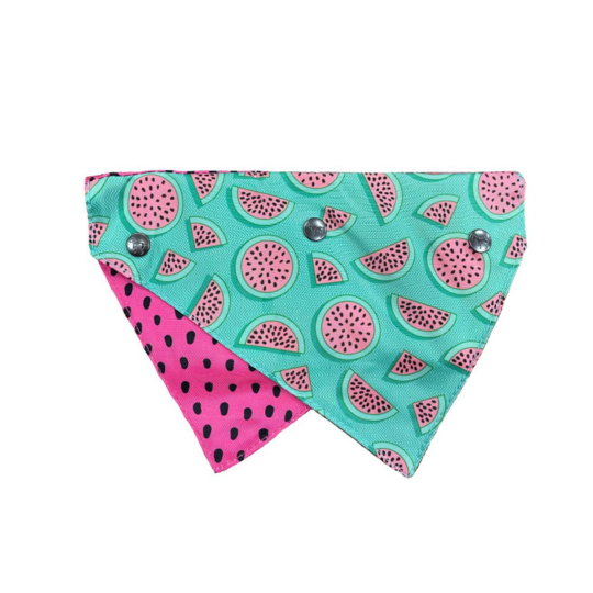 Bandana para Mascotas "Summer Punch" Fuzzyard