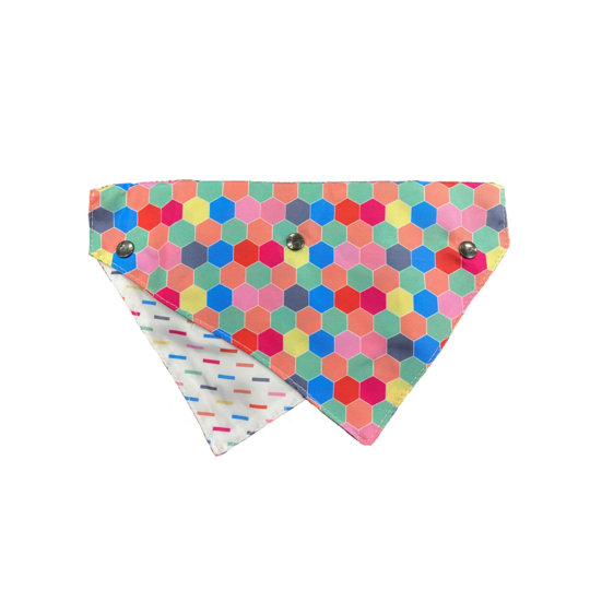Bandana para Mascotas "The Hive" Fuzzyard