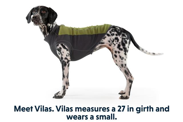 Capa Perro RUFFWEAR Climate Changer Pullover