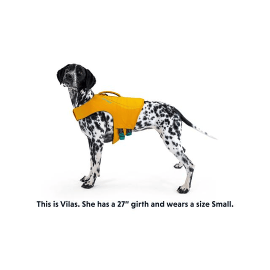 Salvavidas de Perro Ruffwear Float Coat Dog 
