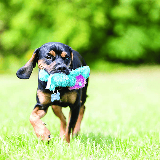 Juguete de perro Peluche resistente Kong Cozie Baily Dog