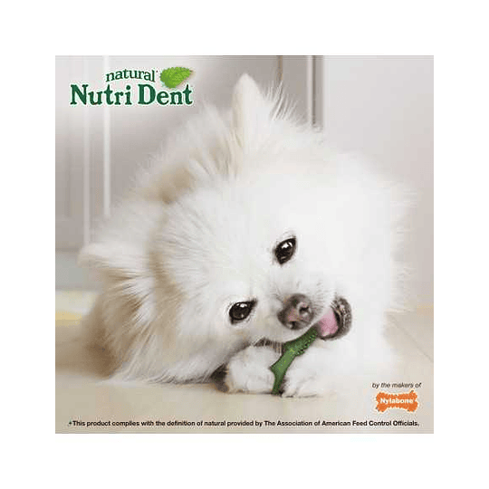 Snack Comestible para perro Cepillo dental XS - 160 unidades