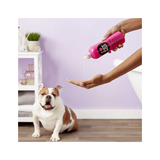 Shampoo para perro Pet Head Dirty Talk - Desodorizante