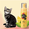 Shampoo en seco para Gatos Pet head Felin' Good 200ml