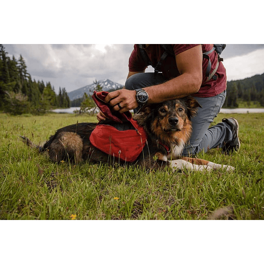 Ruffwear Day Pack - Alforjas de Perro Outdoors