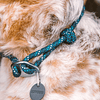 Collar de Perro Ruffwear Knot a Collar Reflectante 			