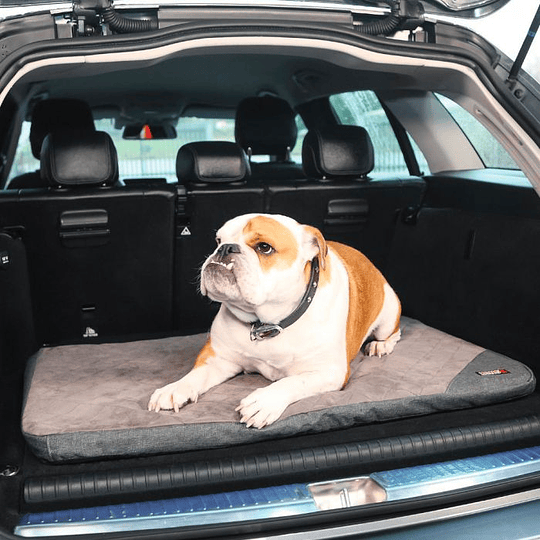 Mat Plegable para perros Kong Fold Up Travel 92X60cm - Para Viajes