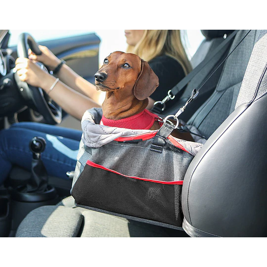Canasta Porta Mascota Elevado para auto Kong Secure Booster Seat