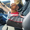 Canasta Porta Mascota Elevado para auto Kong Secure Booster Seat