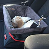 Canasta Porta Mascota Elevado para auto Kong Secure Booster Seat