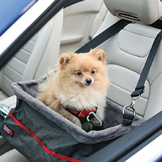 Canasta Porta Mascota Elevado para auto Kong Secure Booster Seat