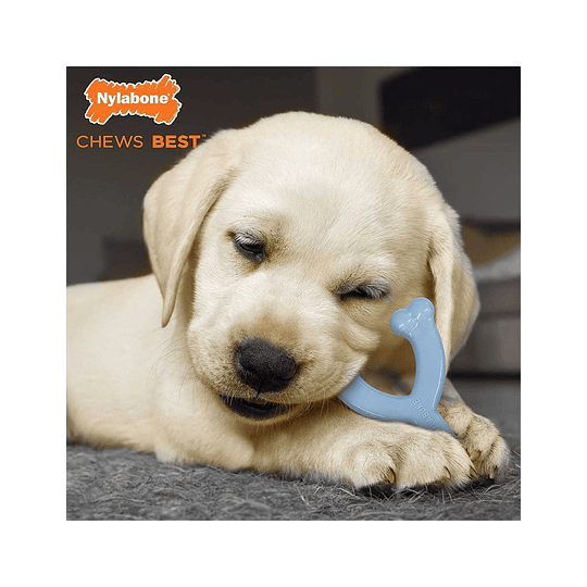 Hueso de la suerte para cachorros Azul Nylabone talla XS