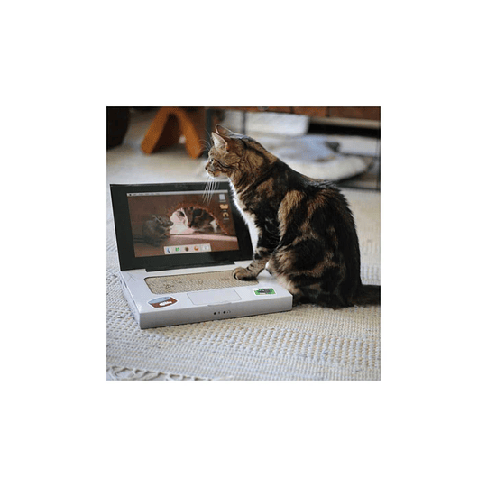 Rascador para gatos Brnx diseño Catbook / Notebook