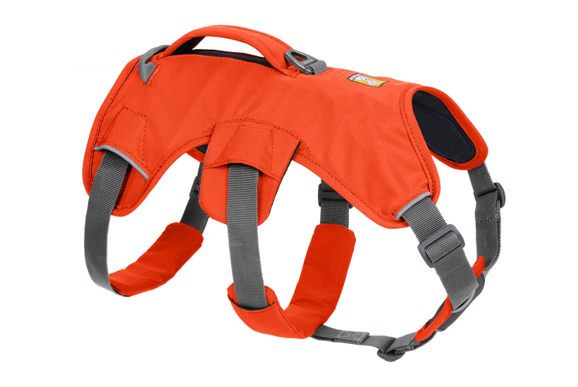 Arnés de Perro Outdoors Ruffwear Web Master
