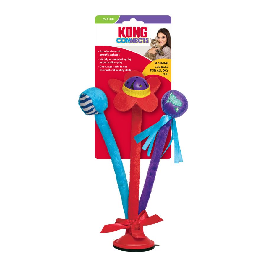 Kong Bat 'N Spring