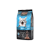 Alimento Para gatos pueños Leonardo Kitten 1.8kg