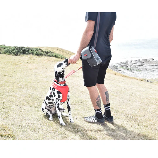Bolso KONG Hiking Bag - Paseos y Trekkings con perros