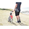 Bolso KONG Hiking Bag - Paseos y Trekkings con perros