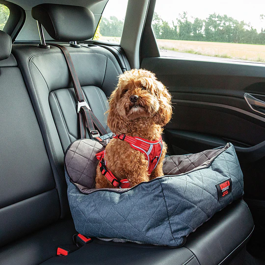 Asiento para marcotas KONG Ultimate Safety Tether and Seat