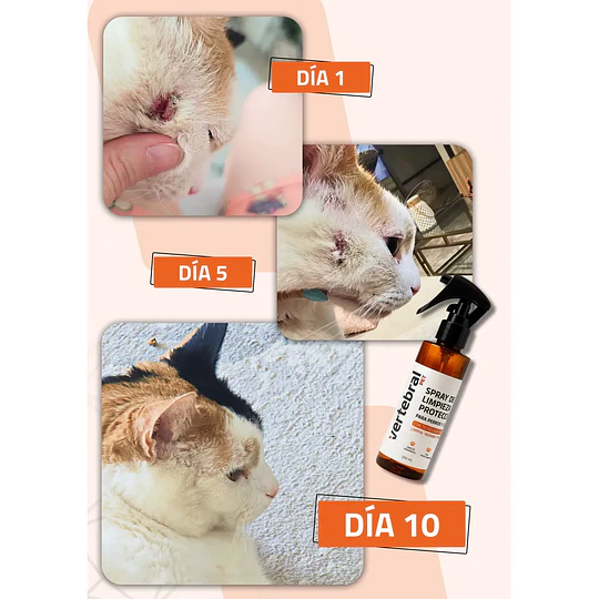 Spray de Limpieza y Protección Microbiana para Mascotas (150 mL)