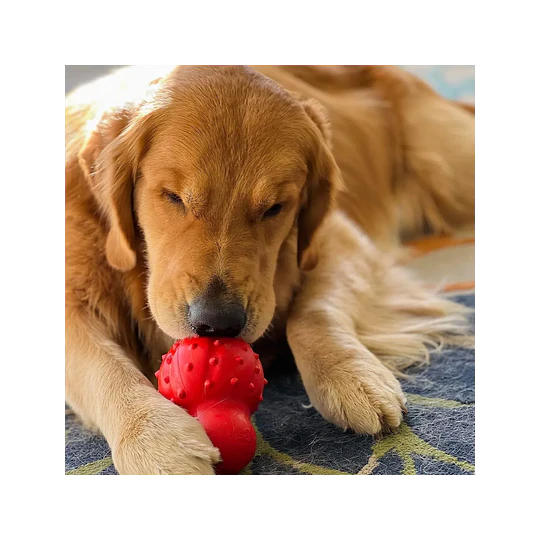 Nylabone Strong Chew Cono 3 en 1 Rellenable y Congelable, Sabor Tocino, Talla M