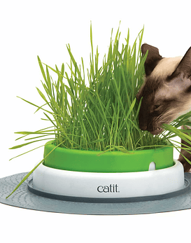 Germinador de Pasto Catit Senses 2.0