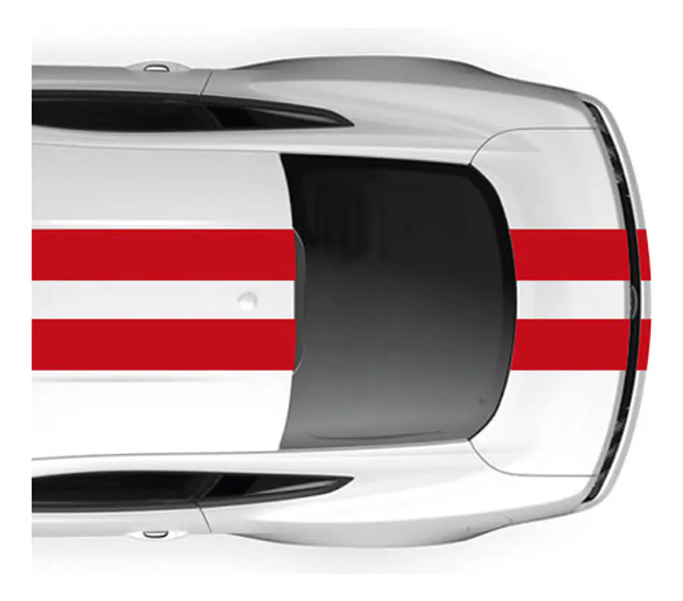 lineas Deportivas para Autos en Vinilo Automotriz 15