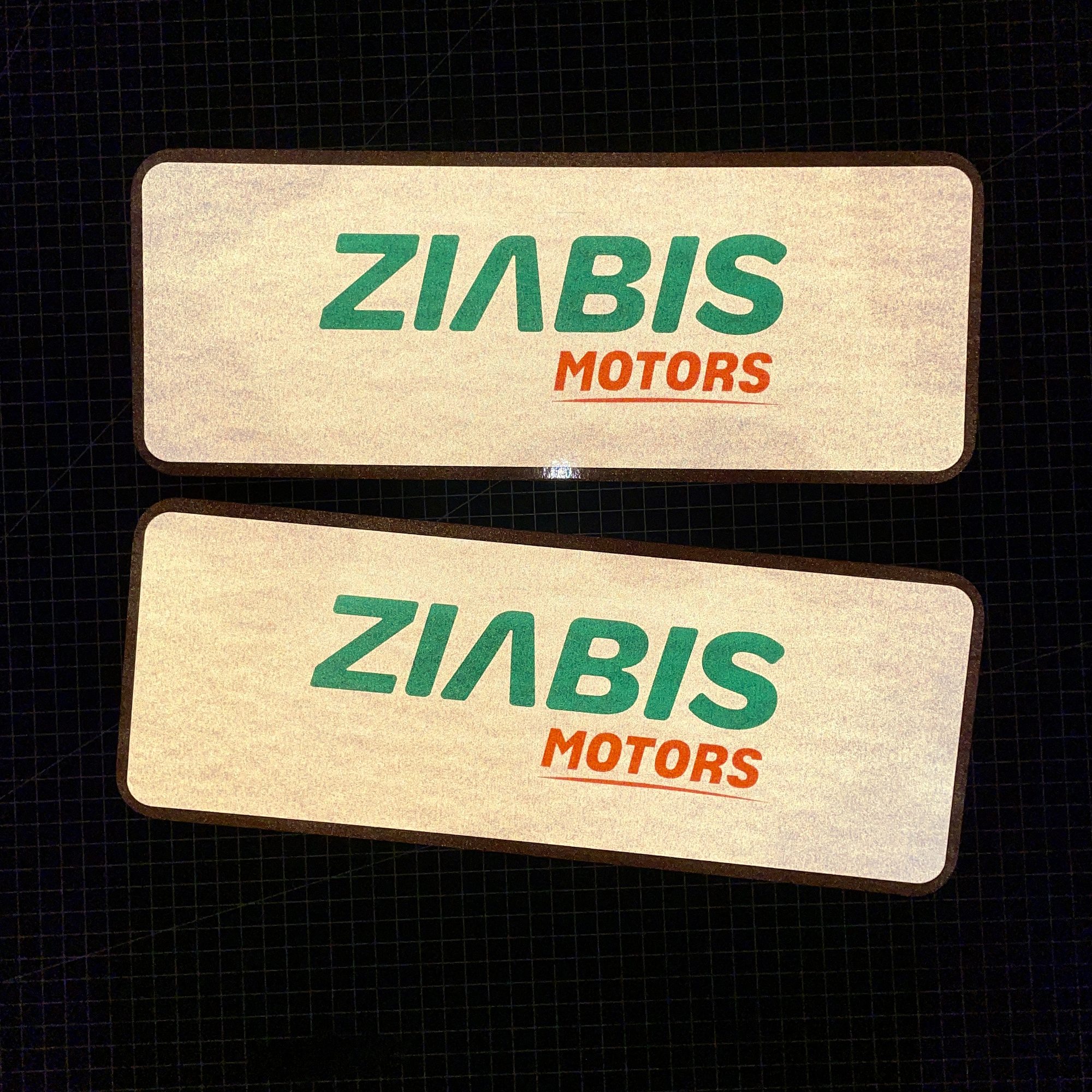 Cubre Patente en vinilo Reflectante para Autos kit 4 unid 2