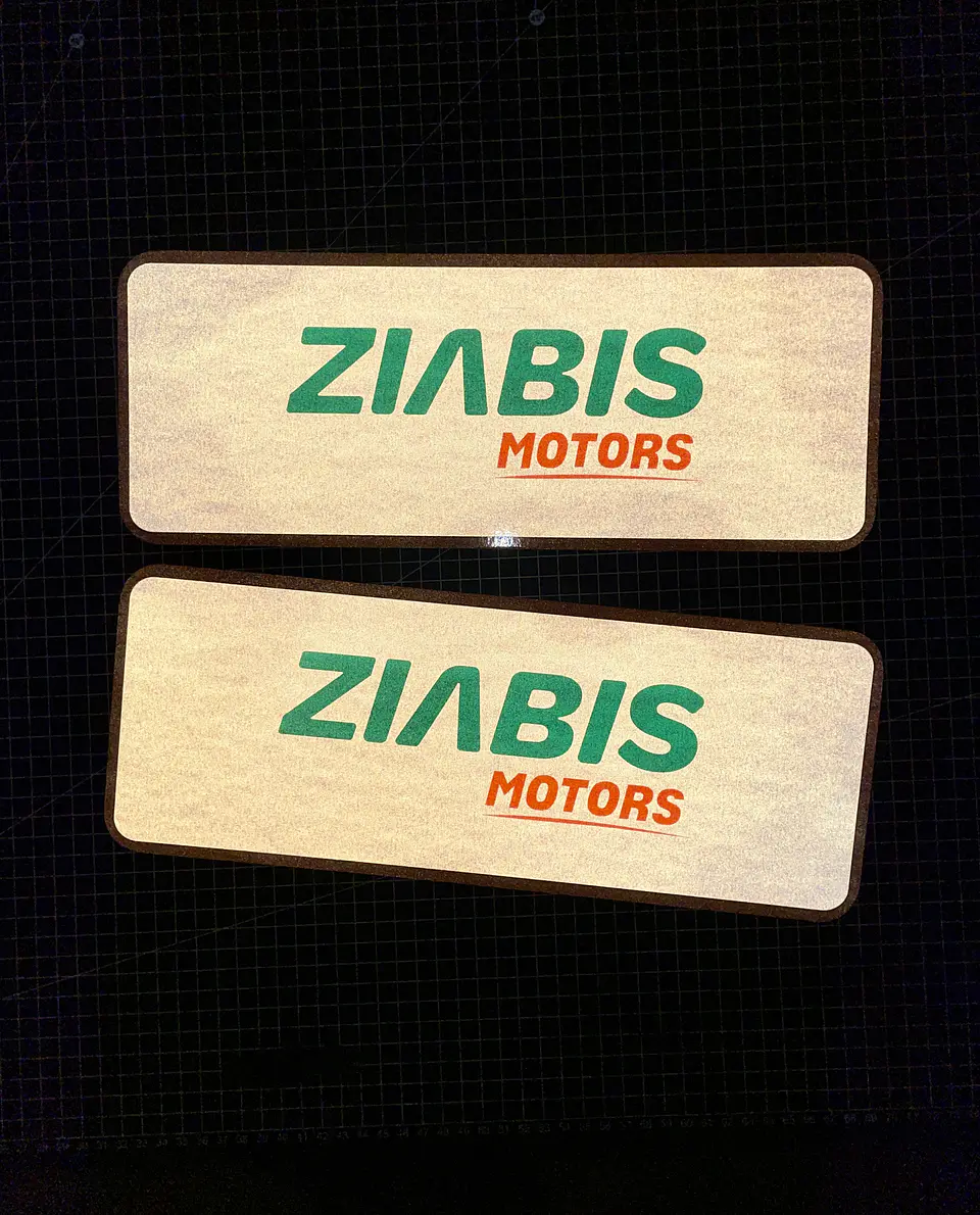 Cubre Patente en vinilo Reflectante para Autos kit 4 unid 2